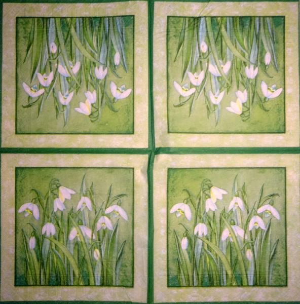 015 Narzissen, Hyazinthen, Maiglöckchen, Krokus